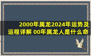 2000年属龙2024年运势及运程详解 00年属龙人是什么命